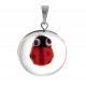Lucky Ladybird Eye Charm for evil eye protection