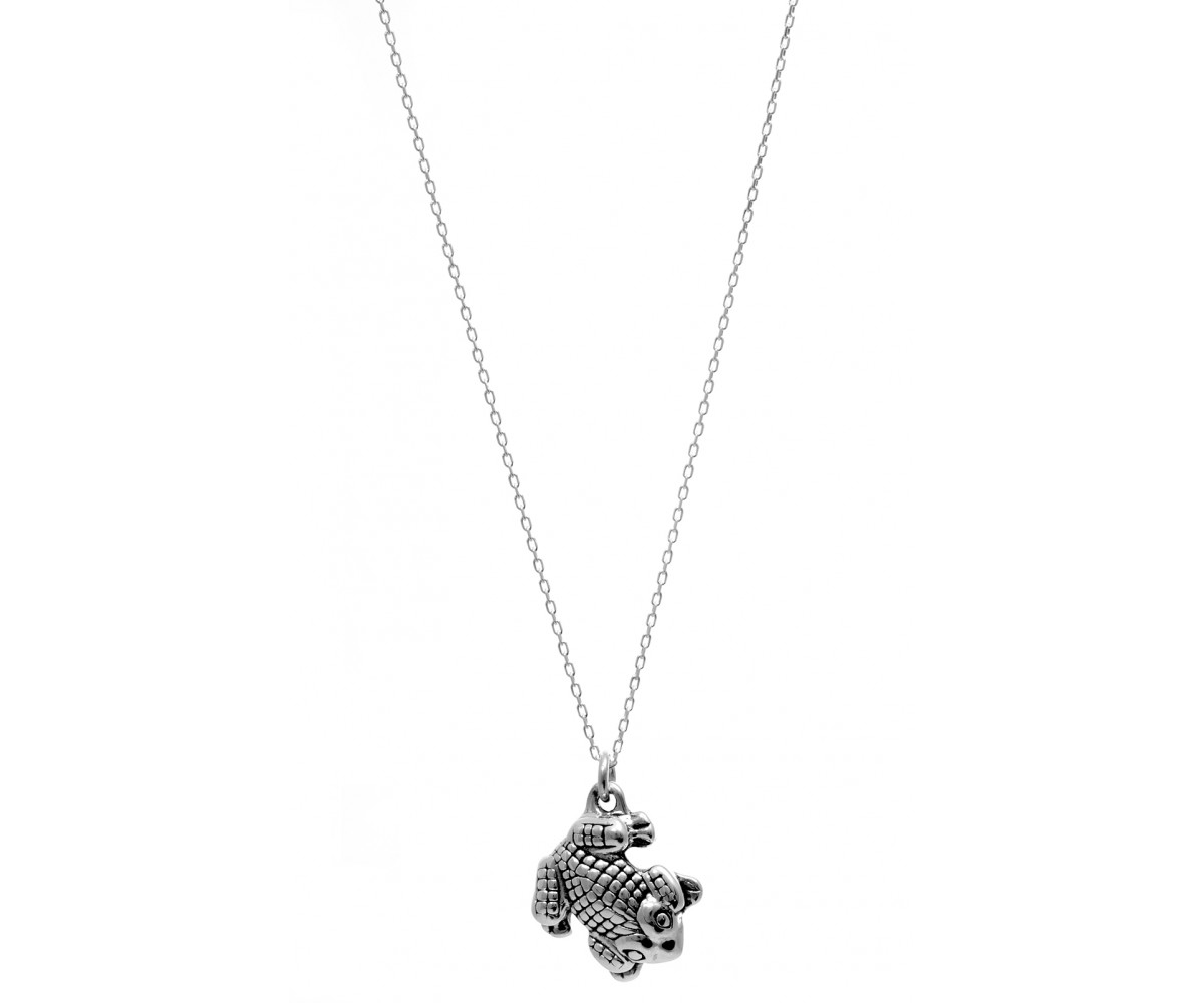 Frog Necklace for evil eye protection